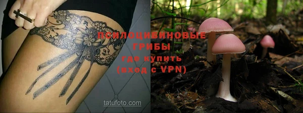 мяу мяу мука Киреевск