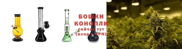 мяу мяу мука Киреевск
