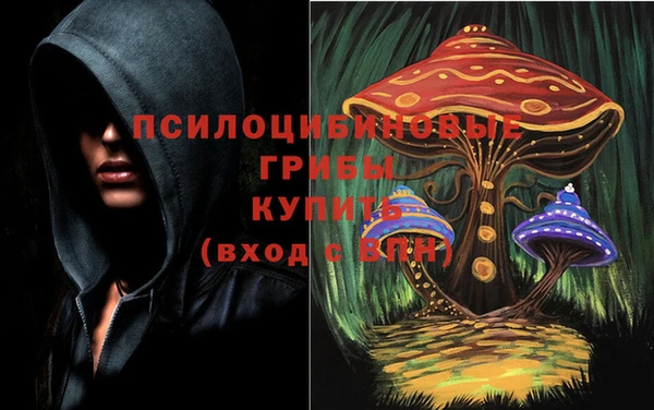дурь Кинешма