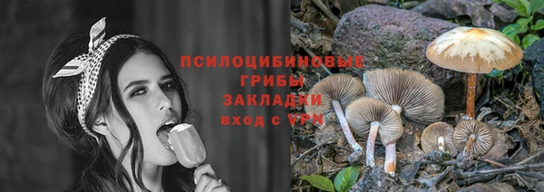 дурь Кинешма