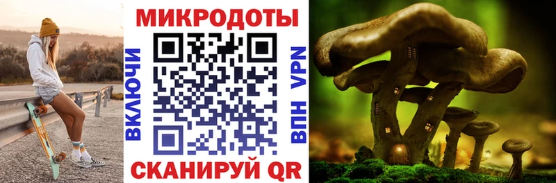 Галлюциногенные грибы ЛСД  Купить закладки  Красный Холм 