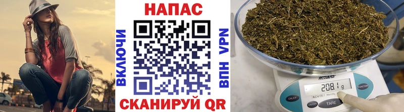 Конопля индика  Купить закладки  Красный Холм 